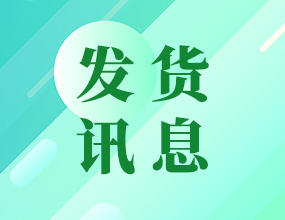ZDT-BM蓄電池在線監測系統進行專業調試